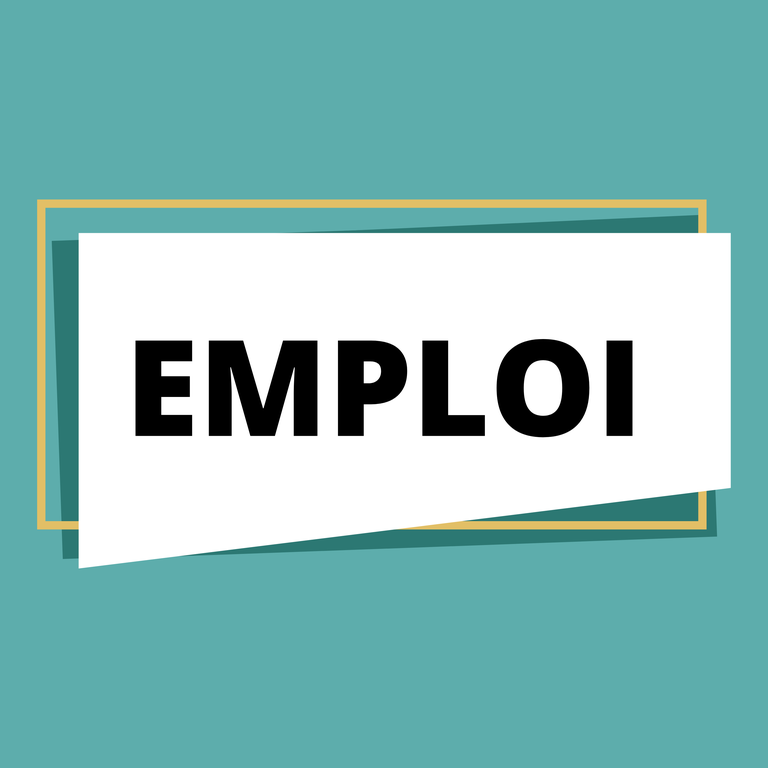 Offre d'emploi.png